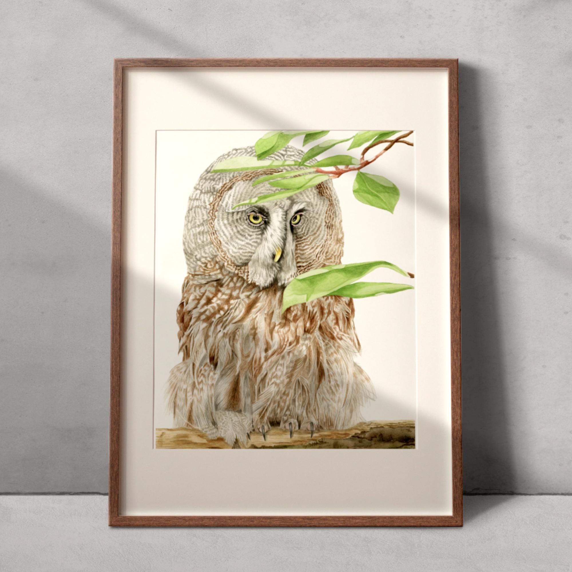 Great Grey Owl Watercolour Art Print (A4)