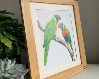 Rainbow Parakeet Art Print