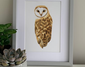 Barn owl water colour art print