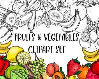 Fruits and Vegetables Clip art set. Black and white Lineart AND Colored versions. Digital Download.