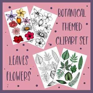 Może przedstawiać: Zestaw botanicznych grafik wektorowych w kolorze czarnym, białym i zielonym, przedstawiający liście i kwiaty. Grafika jest oznaczona jako "Botanical Themed Clipart Set" i "Leaves Flowers".