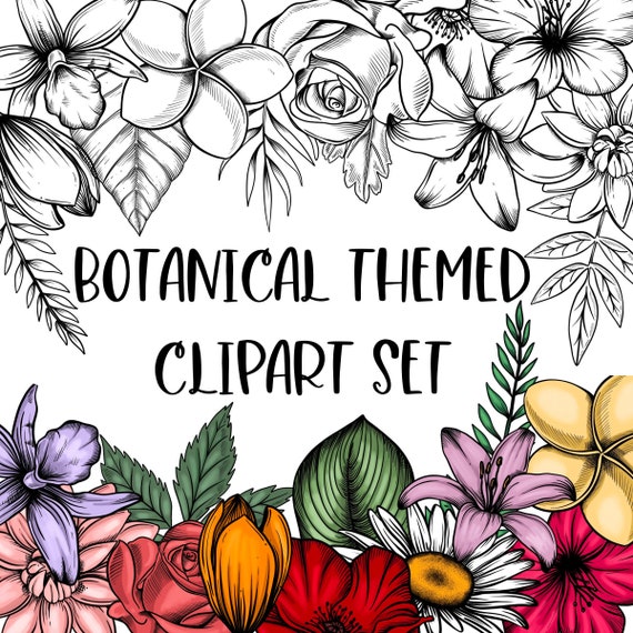 Botanical Themed Clipart. Drawn digitally in Black and white and colored versions. Flowers and Leaves