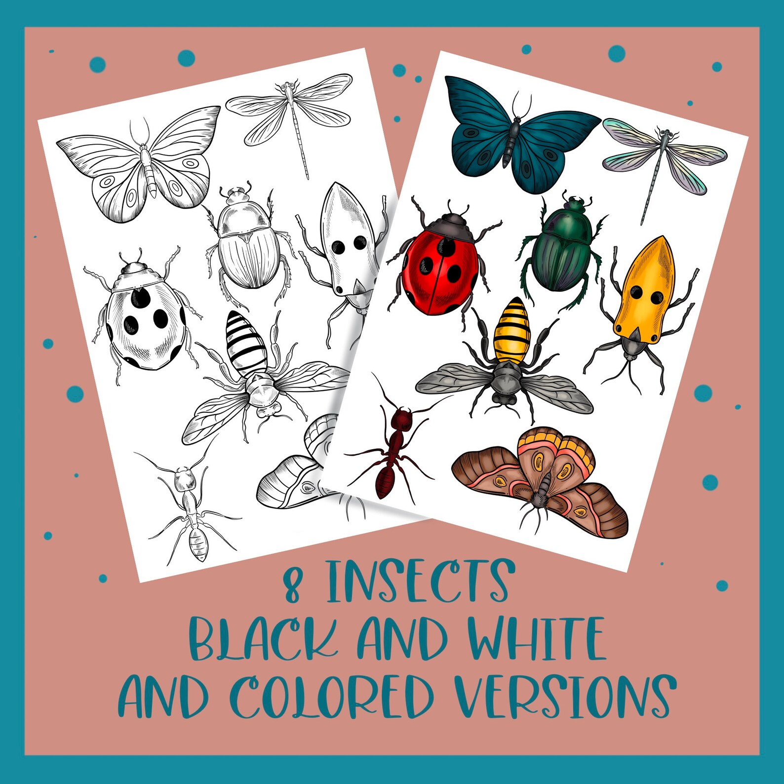 8 Insects Clipart Set in Black and White and Colored Versions. DIGITAL ...
