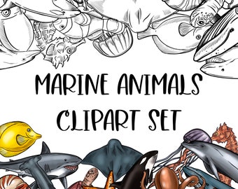 Marine Animals Clipart. Digital Download. Colored and Black and White Lineart.