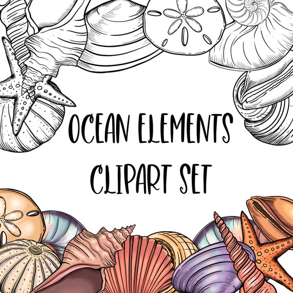Ocean elements and sea shells Clipart set. Digitally drawn, Line art and colored versions.