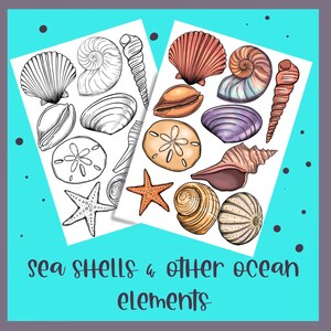 Może przedstawiać: Dwa arkusze papieru z ilustracjami muszli i rozgwiazd. Jeden arkusz jest czarno-biały, drugi kolorowy. Tekst "sea shells & other ocean elements" znajduje się na dole.