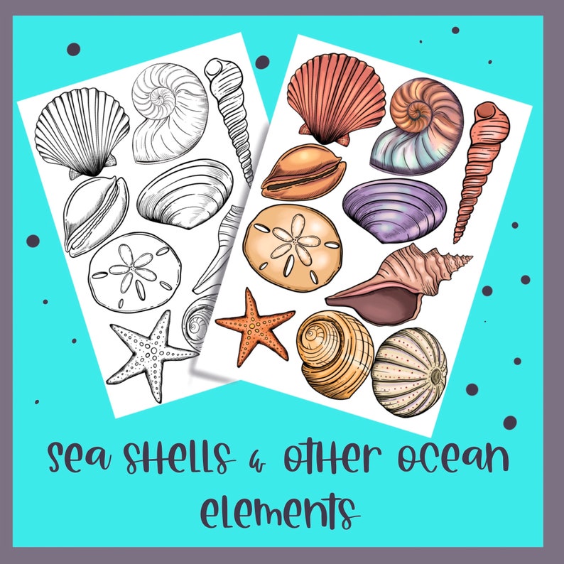 Może przedstawiać: Dwa arkusze papieru z ilustracjami muszli i rozgwiazd. Jeden arkusz jest czarno-biały, drugi kolorowy. Tekst "sea shells & other ocean elements" znajduje się na dole.
