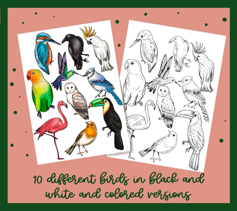 May include: Two images of 10 different birds. The first image shows the birds in color, while the second image shows the same birds in black and white.