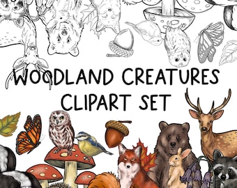 May include: A set of woodland creature clipart featuring a fox, deer, owl, squirrel, raccoon, hedgehog, bear, and more. The clipart is in a cartoon style and is perfect for use in crafts, scrapbooking, and other creative projects.