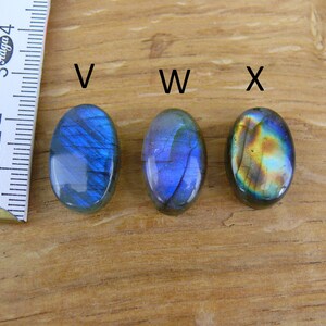 Labradorit Edelsteine / Cabochons Oval Bild 9