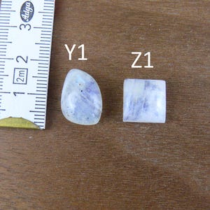 May include: Two polished moonstone cabochons labeled Y1 and Z1, with Y1 being pear-shaped and Z1 being square. A white measuring tape is positioned to the left, showing a scale in centimeters, with the stones measuring approximately 1.5 cm wide.