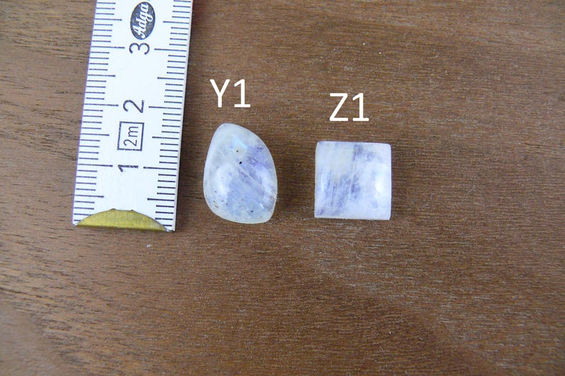 May include: Two polished moonstone cabochons labeled Y1 and Z1, with Y1 being pear-shaped and Z1 being square. A white measuring tape is positioned to the left, showing a scale in centimeters, with the stones measuring approximately 1.5 cm wide.