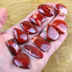 May include: A selection of polished red jasper gemstones in diverse shapes, such as oval, teardrop, and rectangular. The stones have a glossy finish and show unique patterns of lighter red and cream-coloured veining.