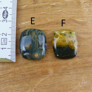 May include: Two polished, rectangular cabochon gemstones labeled E and F, positioned next to a white ruler showing a length of approximately 1.5 inches. Gemstone E features dark green and blue tones, while F displays yellow and black circular patterns.