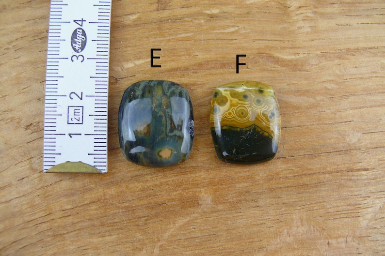 May include: Two polished, rectangular cabochon gemstones labeled E and F, positioned next to a white ruler showing a length of approximately 1.5 inches. Gemstone E features dark green and blue tones, while F displays yellow and black circular patterns.