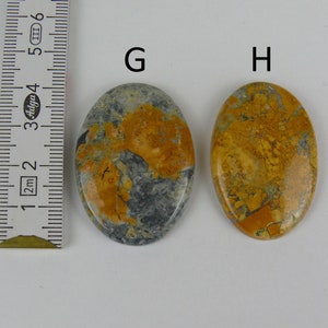 Maligano Jaspis Cabochons Oval Bild 5