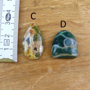 May include: Two polished cabochon gemstones labeled C and D next to a ruler. Gemstone C is a teardrop shape with cream, yellow, and green floral-like patterns. Gemstone D is a rounded triangular shape in dark green with circular white and pink inclusions.