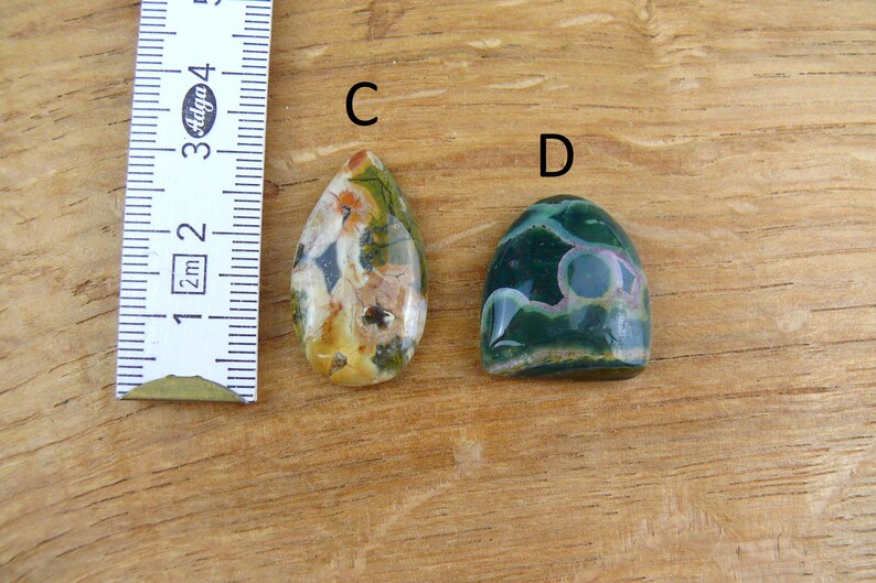 May include: Two polished cabochon gemstones labeled C and D next to a ruler. Gemstone C is a teardrop shape with cream, yellow, and green floral-like patterns. Gemstone D is a rounded triangular shape in dark green with circular white and pink inclusions.