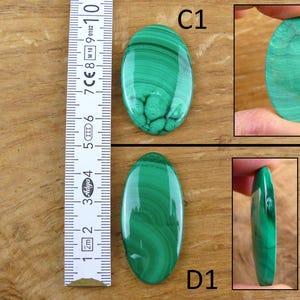 May include: Two oval-shaped malachite gemstones with a ruler for scale. The gemstones are a vibrant green with swirling patterns. One is labeled "C1" and the other "D1". The ruler shows measurements in inches.
