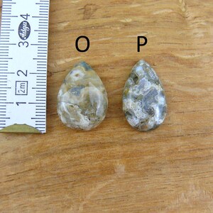 May include: Two teardrop-shaped polished stones labeled O and P, positioned next to a white ruler showing a measurement of approximately 1.5 inches. The stones feature a mottled pattern of gray, beige, and white tones with a smooth, glossy finish.