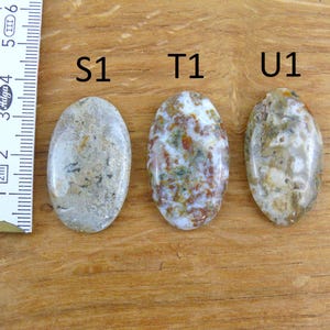 Op de afbeelding: Drie ovaalvormige gepolijste stenen met de labels S1, T1 en U1, geplaatst naast een witte liniaal met centimeters. De stenen hebben gevlekte patronen in tinten grijs, wit, bruin en groen met een gladde, glanzende afwerking.