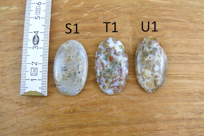 Op de afbeelding: Drie ovaalvormige gepolijste stenen met de labels S1, T1 en U1, geplaatst naast een witte liniaal met centimeters. De stenen hebben gevlekte patronen in tinten grijs, wit, bruin en groen met een gladde, glanzende afwerking.