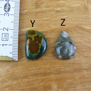 May include: Two polished gemstones labeled Y and Z next to a white ruler. Gemstone Y is a semi-circular dark green and brown stone. Gemstone Z is a teardrop-shaped grey stone with circular patterns. The ruler shows measurements in centimeters.