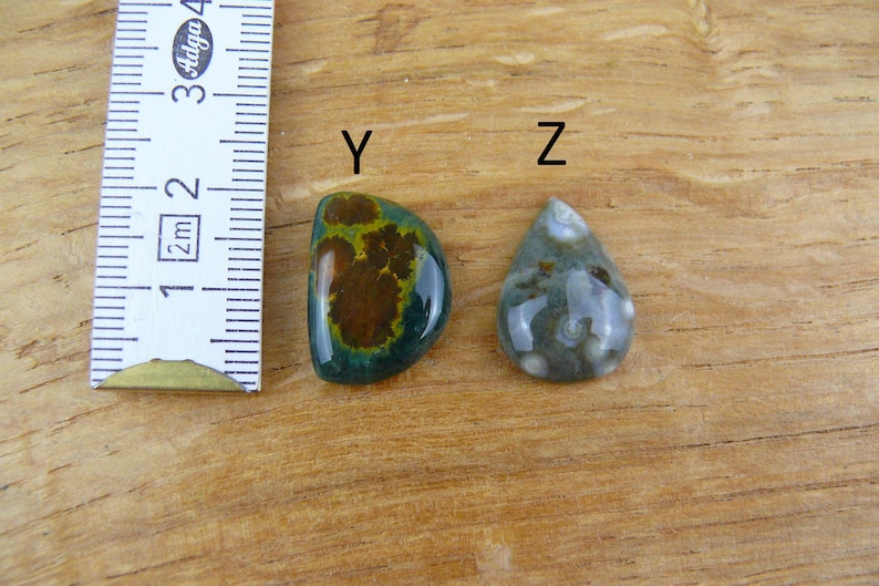 May include: Two polished gemstones labeled Y and Z next to a white ruler. Gemstone Y is a semi-circular dark green and brown stone. Gemstone Z is a teardrop-shaped grey stone with circular patterns. The ruler shows measurements in centimeters.