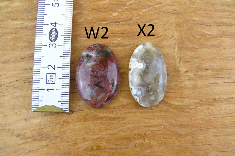 Op de afbeelding: Twee ovaalvormige gepolijste edelstenen met het label W2 en X2. De W2-steen is gevlekt donkerrood en donkergroen, terwijl de X2-steen doorschijnend grijs is met witte cirkelvormige insluitingen. Een witte liniaal toont een lengte van 3,2 cm.