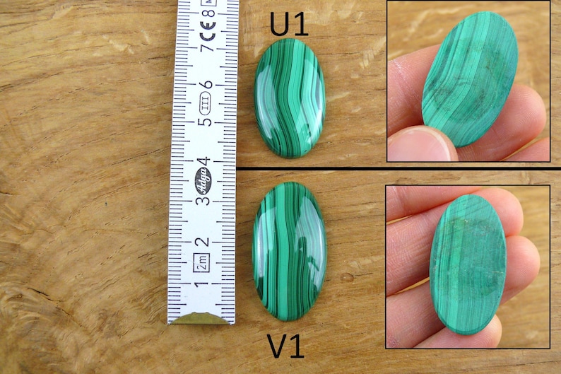 May include: Two oval-shaped malachite gemstones with a vibrant green color and unique striped patterns. The gemstones are displayed next to a ruler, with one gemstone measuring approximately 2 inches in length. The gemstones are labeled U1 and V1.