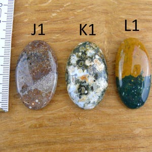 Op de afbeelding: Drie ovaalvormige gepolijste edelstenen met de labels J1, K1 en L1. J1 is bruin met gespikkelde patronen, K1 is groen en wit met gevlekte stippen en L1 is verdeeld tussen geel en donkergroen. Een liniaal toont een schaalverdeling in cm.