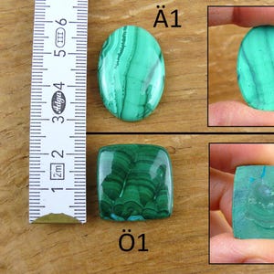 May include: The image showcases two malachite gemstones, one oval and one square, with a ruler for scale. The oval stone displays a vibrant green hue with intricate patterns. The square stone also exhibits a rich green color and unique veining.