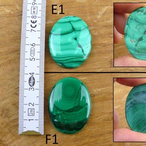 May include: Two oval-shaped malachite gemstones with a ruler for scale. The gemstones display a vibrant green color with darker green and black swirling patterns. The ruler shows measurements in centimeters.