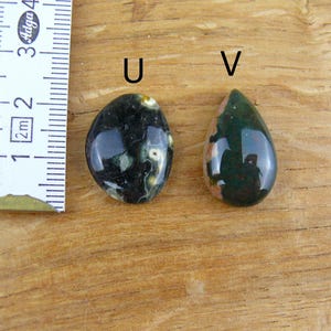 May include: Two polished gemstones labeled U and V next to a ruler. Gemstone U is oval, dark green with white spots. Gemstone V is teardrop-shaped, dark green with a tan section. The ruler shows a scale in centimeters for size reference.