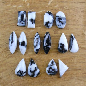 May include: A selection of polished gemstones in diverse shapes, such as ovals, teardrops, and rectangles. The stones display a striking black and white pattern, with the black resembling intricate veining or marbling. The gemstones are presented on a wooden surface.