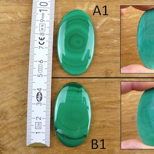 May include: Two polished oval malachite gemstones, one labeled A1 and the other B1, are displayed. The gemstones are a vibrant green with unique swirling patterns. A ruler shows the approximate size of the stones.