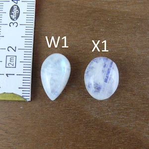 May include: Two polished moonstone cabochons next to a ruler. The left stone is pear-shaped and labeled W1, while the right stone is oval-shaped and labeled X1. Both stones exhibit a translucent white appearance with subtle blue adularescence.