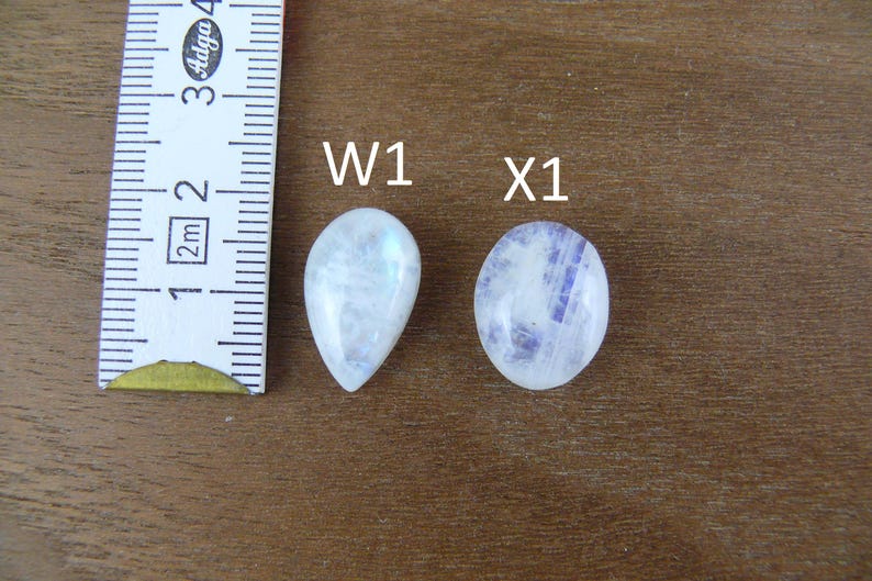 May include: Two polished moonstone cabochons next to a ruler. The left stone is pear-shaped and labeled W1, while the right stone is oval-shaped and labeled X1. Both stones exhibit a translucent white appearance with subtle blue adularescence.