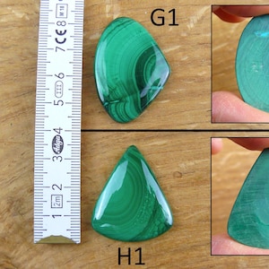 May include: Two polished malachite gemstones, one oval and one triangular, with a ruler for scale. The gemstones display a vibrant green color with intricate swirling patterns. The oval stone is approximately 2.5 inches long.