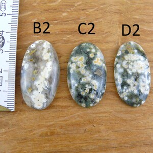 Op de afbeelding: Drie ovaalvormige oceaanjaspis cabochons gelabeld B2, C2 en D2, met witte, grijze en groene cirkelvormige patronen. Een wit meetlint is aan de linkerkant geplaatst en toont een schaal in centimeters voor referentie van de grootte.
