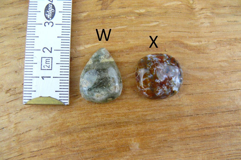 May include: Two polished gemstones labeled W and X next to a ruler. Gemstone W is a teardrop-shaped stone with green and grey mottled patterns. Gemstone X is a round, reddish-brown stone with white inclusions. The ruler shows a scale in centimeters.