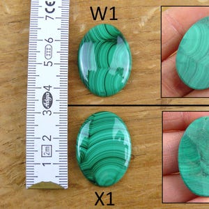 May include: Two oval-shaped malachite gemstones with a vibrant green color and unique swirling patterns. A ruler shows the approximate size of the stones. The gemstones are labeled "W1" and "X1".