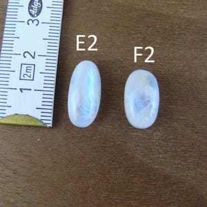 May include: Two oval-shaped, translucent white moonstones labeled E2 and F2, positioned next to a white measuring tape showing metric units. The stones exhibit a subtle blue adularescence and smooth, polished surfaces for jewelry making.