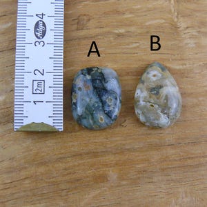 Kleine Ozean-Jaspis Cabochons / Ozean Jasper || Tropfen, Oval, Viereckig Bild 2