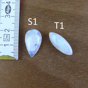 May include: Two polished moonstone cabochons labeled S1 and T1, with S1 in a pear shape and T1 in a marquise shape. A white ruler is positioned to the left, showing the stones measure approximately 0.75 inches in length for the pear shape.