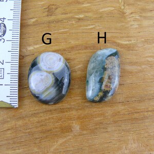 May include: Two polished cabochon gemstones labeled G and H. Gemstone G is oval with circular white and gray patterns. Gemstone H is elongated with green and brown inclusions. A white measuring tape shows a scale in centimeters for size reference.