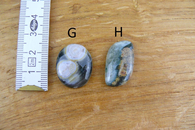 May include: Two polished cabochon gemstones labeled G and H. Gemstone G is oval with circular white and gray patterns. Gemstone H is elongated with green and brown inclusions. A white measuring tape shows a scale in centimeters for size reference.