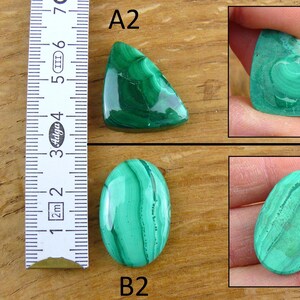 May include: A collection of polished malachite gemstones in various shapes. One is triangular, another oval, and a third is held in a hand. The malachite displays a vibrant green color with unique swirling patterns. A ruler is included for size reference.