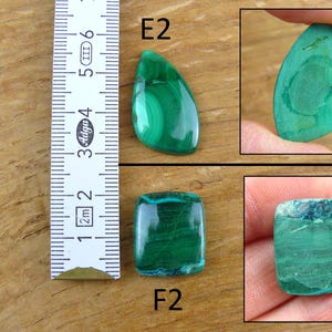 May include: Image of malachite gemstones with a ruler for scale. The gemstones are various shapes, including a teardrop and a rectangle. The malachite is a vibrant green color with swirling patterns. The ruler shows measurements in inches.