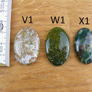 Op de afbeelding: Drie ovaalvormige gepolijste edelstenen gelabeld V1, W1 en X1, geplaatst naast een witte liniaal met metrische maten. V1 is wit en bruin, W1 is donkergroen met gouden spikkels en X1 is donkergroen met bruine en witte wervelingen.